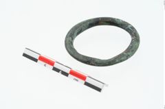 Foto von Bronzering (NHMW-PRAE-025991)